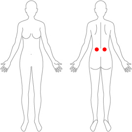 腎兪（じんゆ）ツボの位置